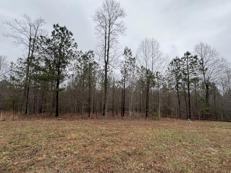 3699 Crockett Pointe Jasper TN 37347