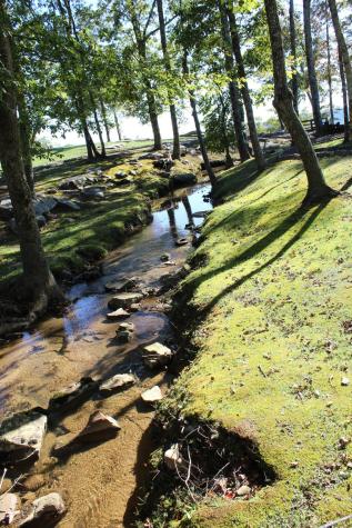 3699 Crockett Pointe Jasper TN 37347