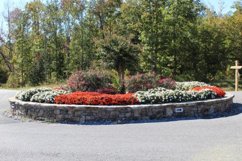 3699 Crockett Pointe Jasper TN 37347