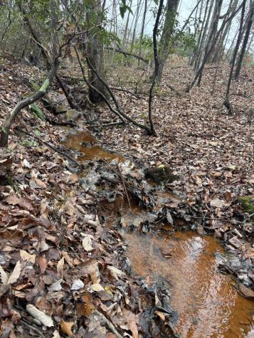 3699 Crockett Pointe Jasper TN 37347