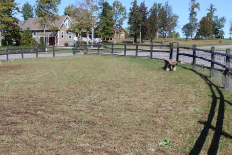 3699 Crockett Pointe Jasper TN 37347