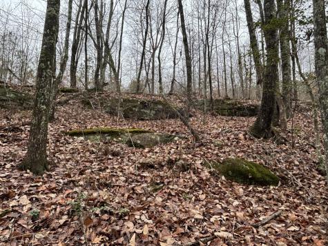 3699 Crockett Pointe Jasper TN 37347