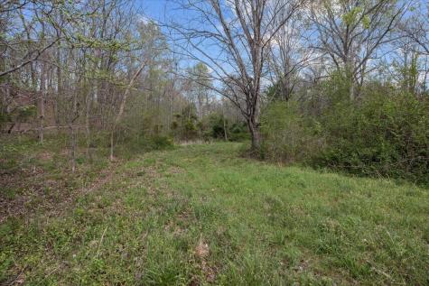 0 Doe Court Waverly TN 37185