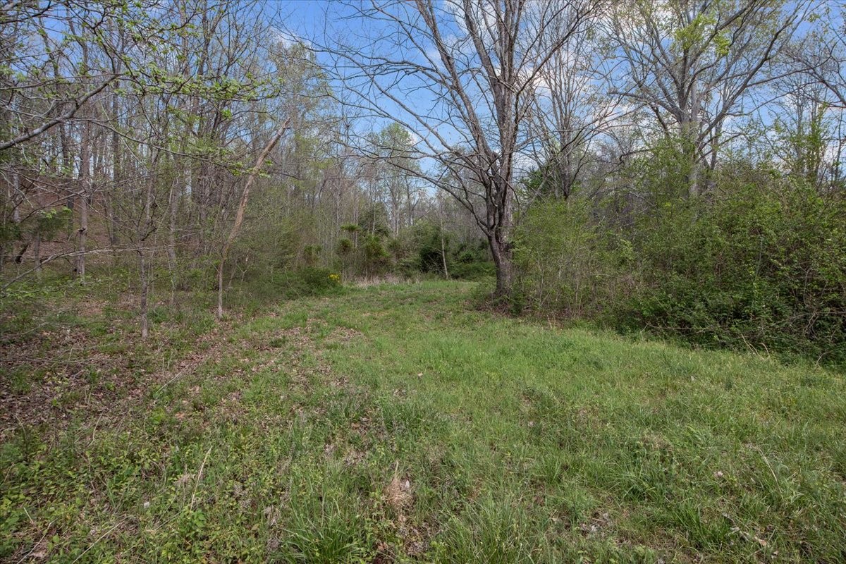 0 Doe Court Waverly TN 37185
