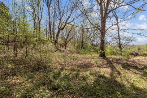 0 Doe Court Waverly TN 37185