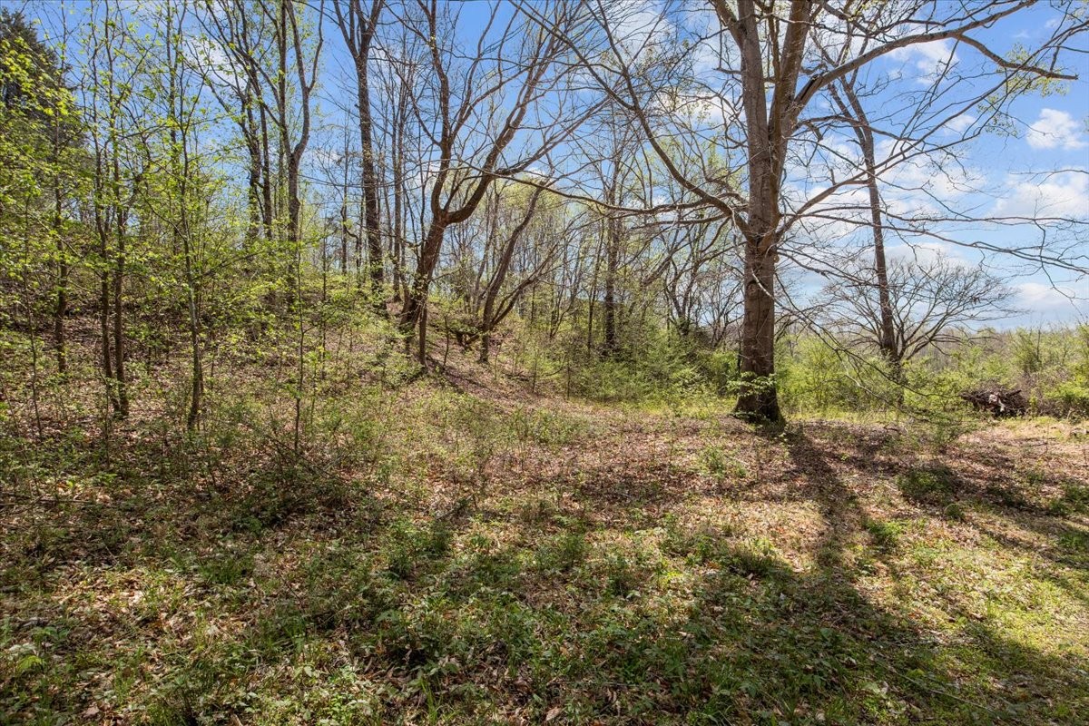 0 Doe Court Waverly TN 37185