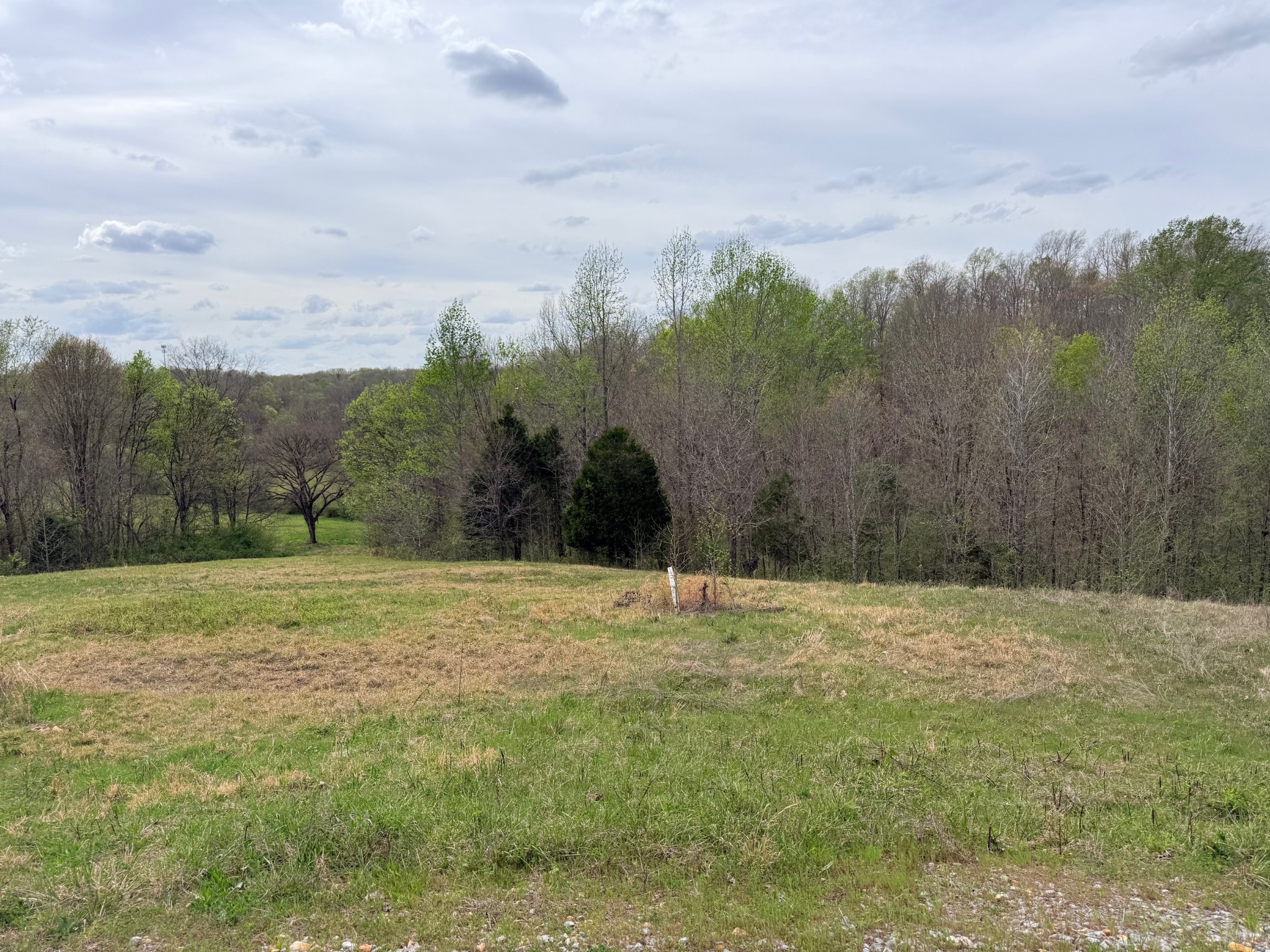 0 Doe Court Waverly TN 37185