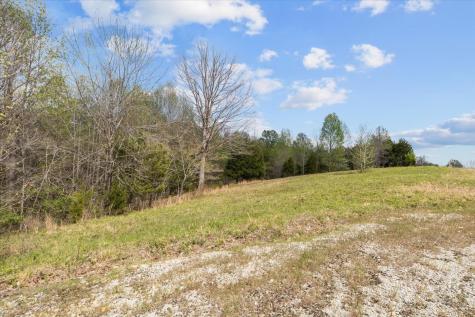 0 Doe Court Waverly TN 37185