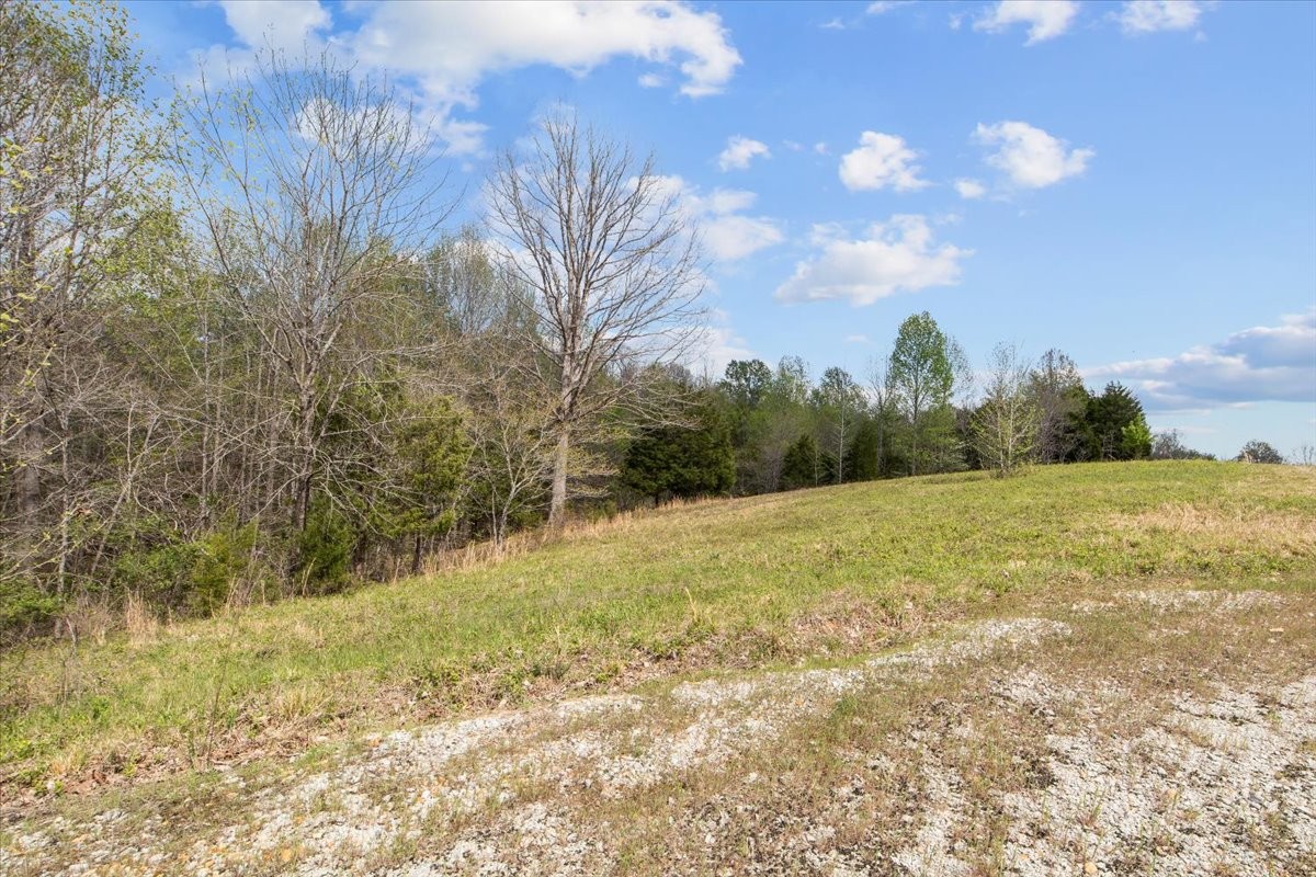 0 Doe Court Waverly TN 37185