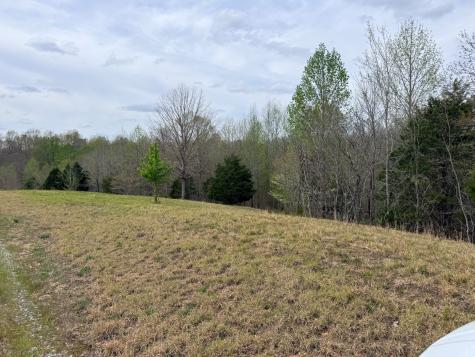 0 Doe Court Waverly TN 37185