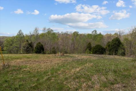 0 Doe Court Waverly TN 37185