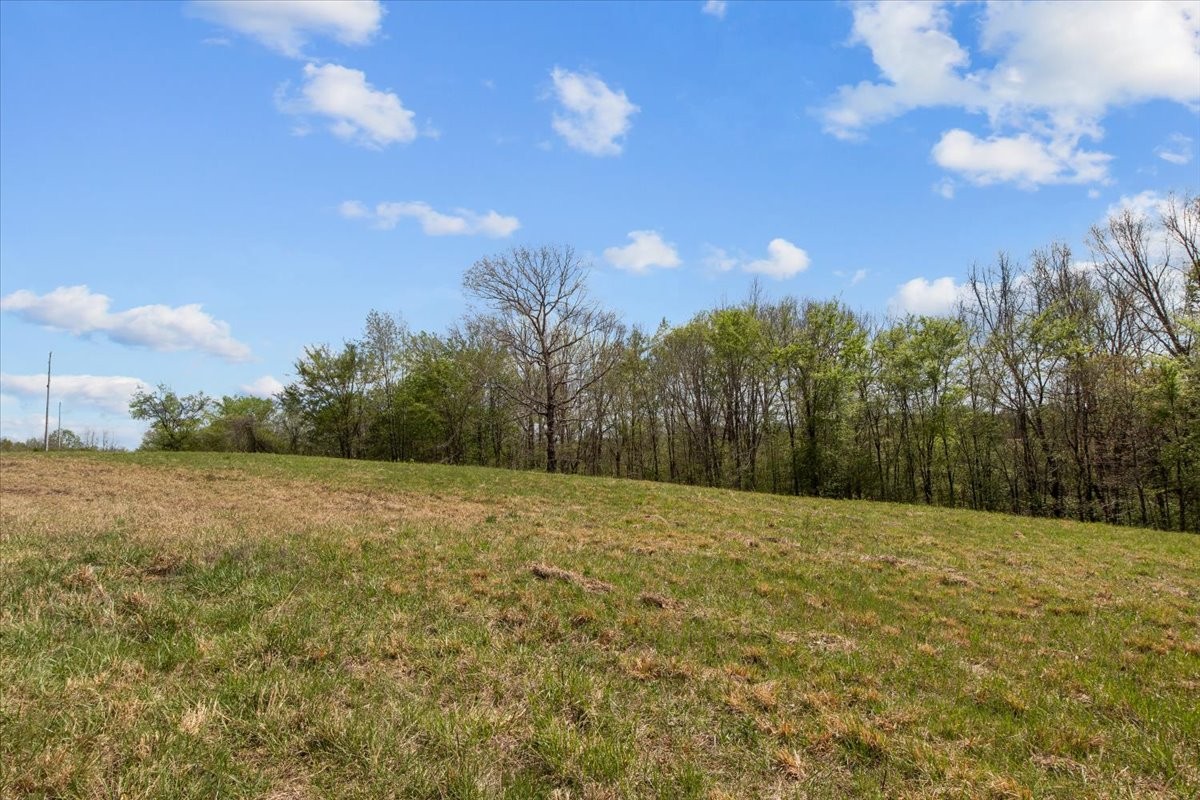 0 Doe Court Waverly TN 37185