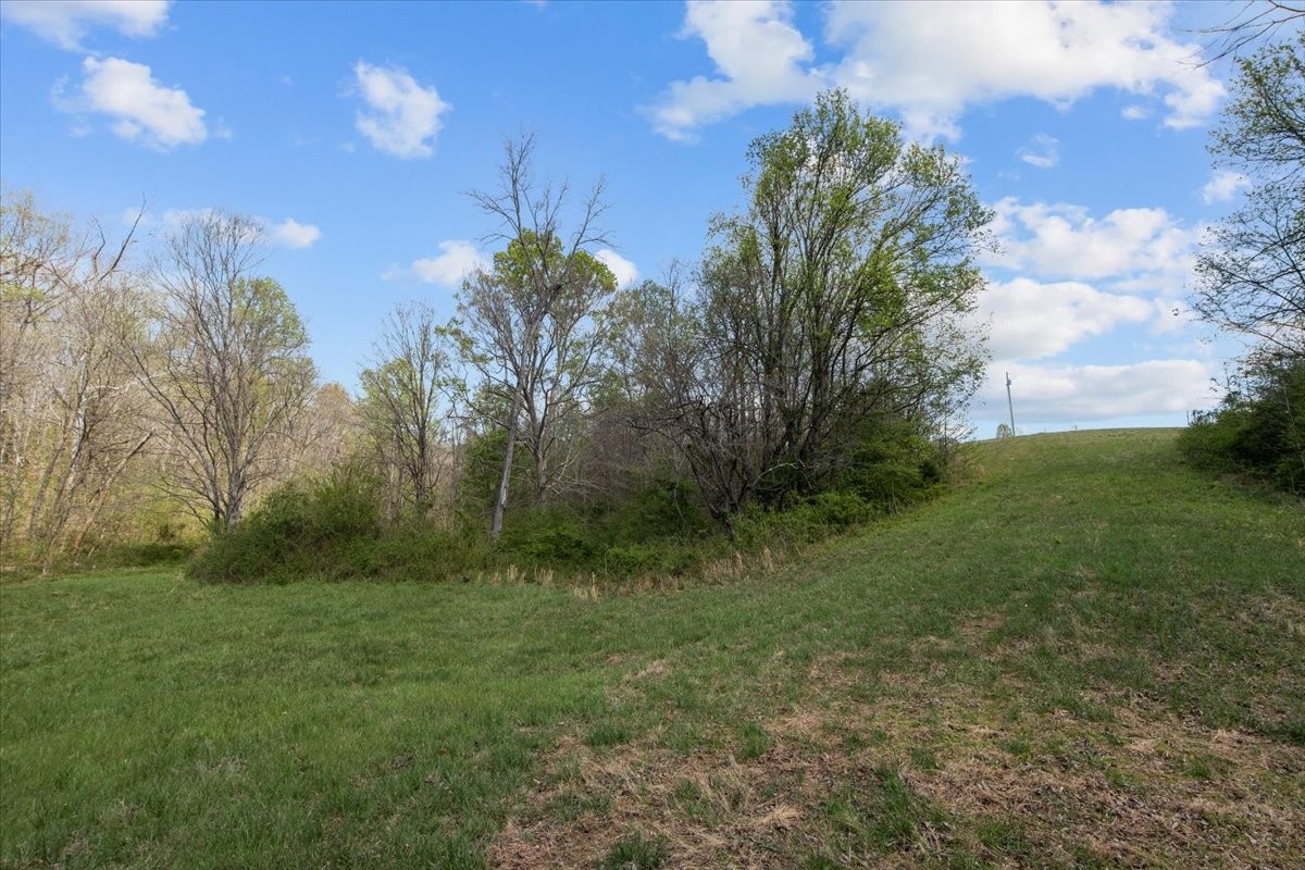 0 Doe Court Waverly TN 37185