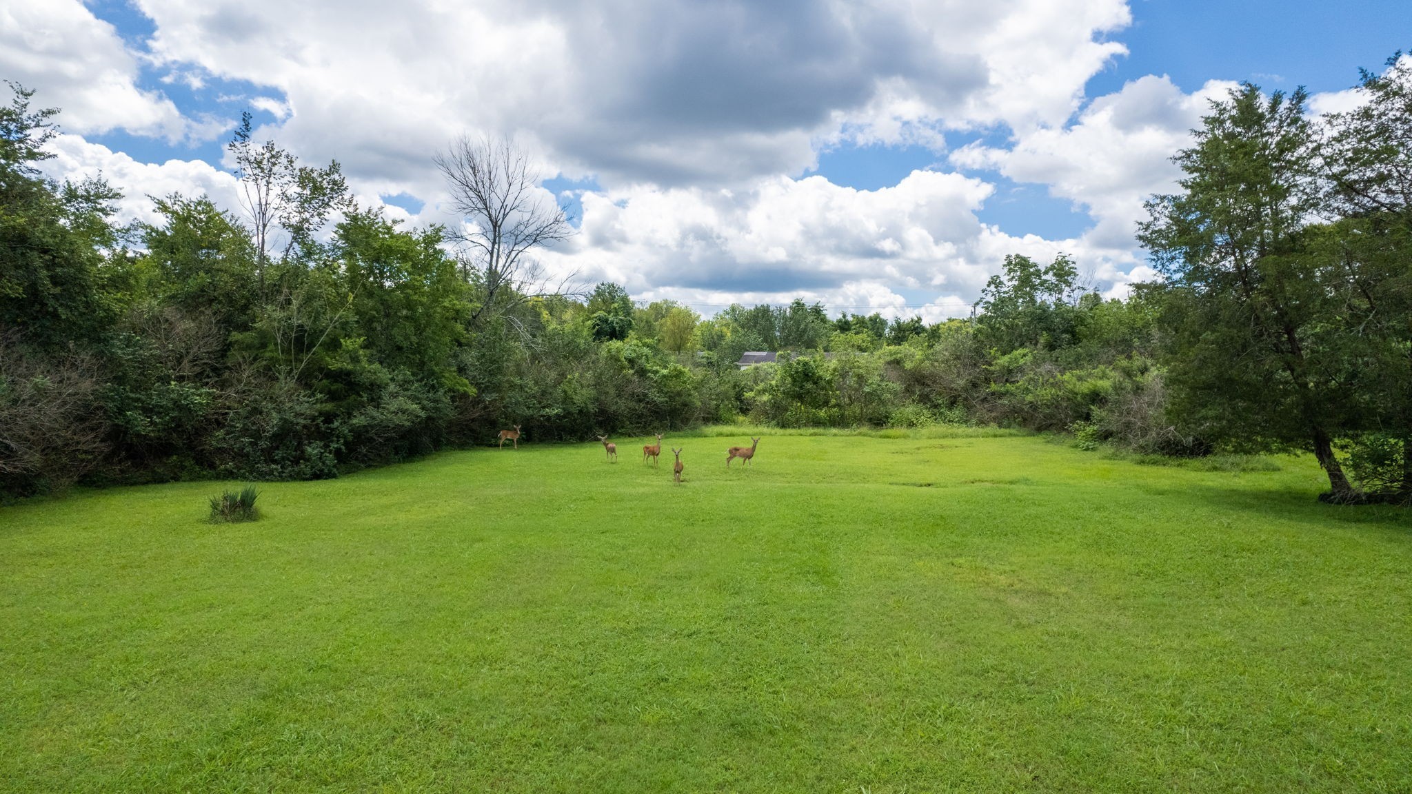 115 Oakmont Drive Mount Juliet TN 37122