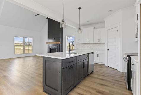 3244 Ostella Road Cornersville TN 37047