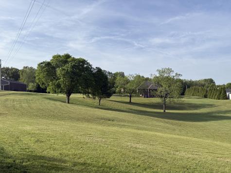 3870 Head Road Adams TN 37010