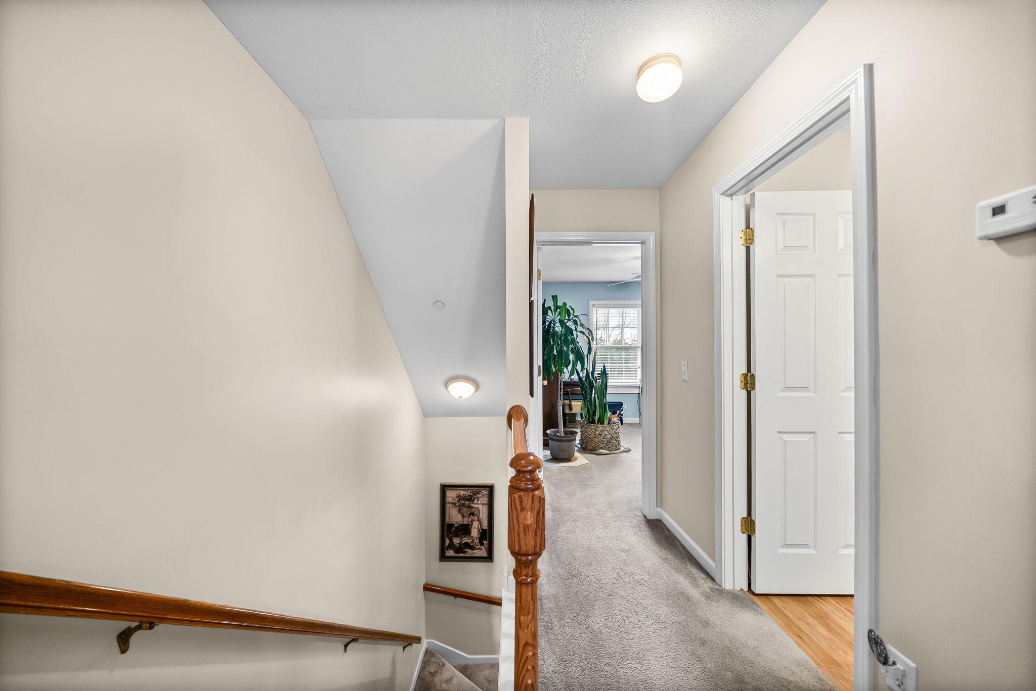 207 Bailey Lane Pleasant View TN 37146