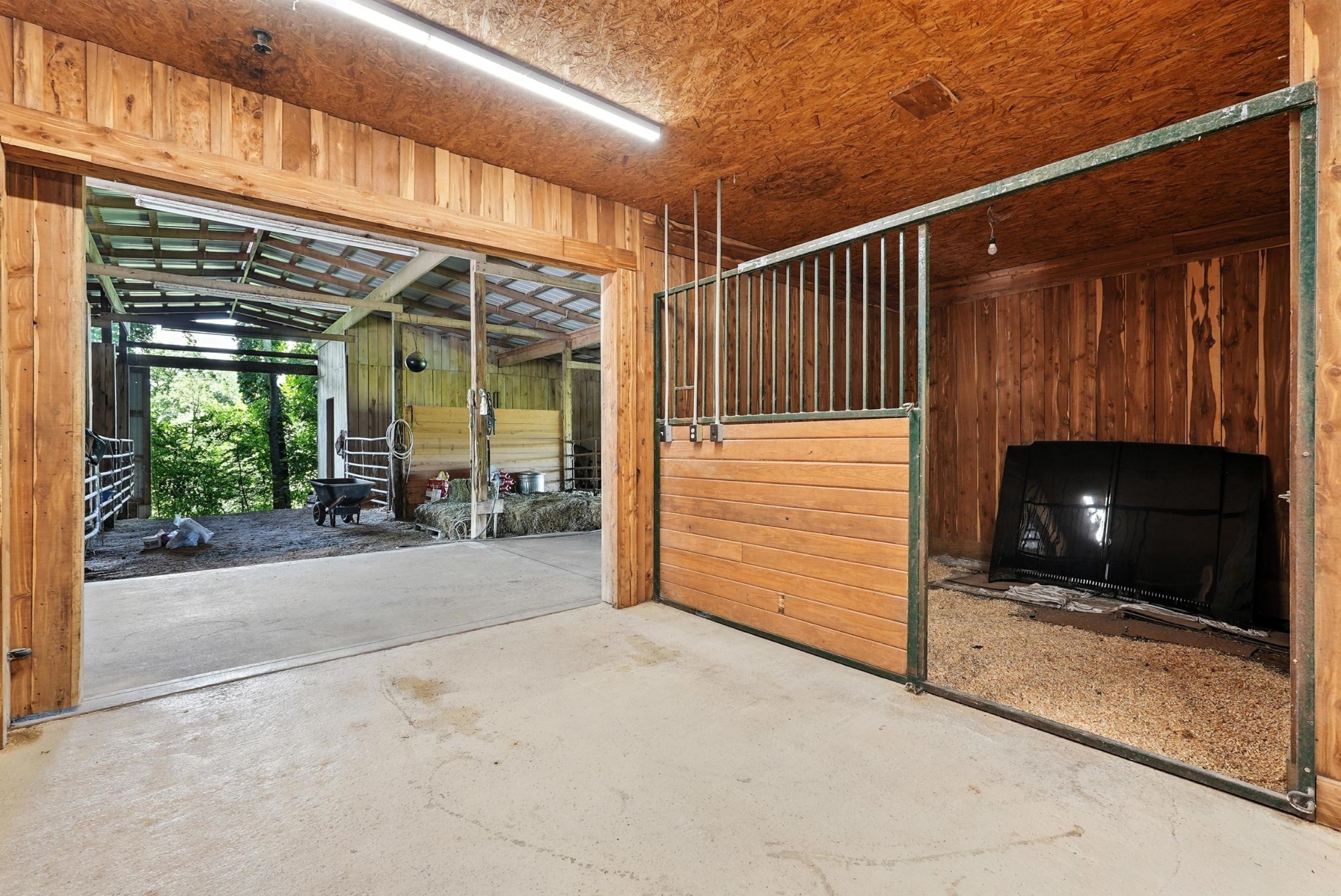 1880 Clydeton Road Waverly TN 37185