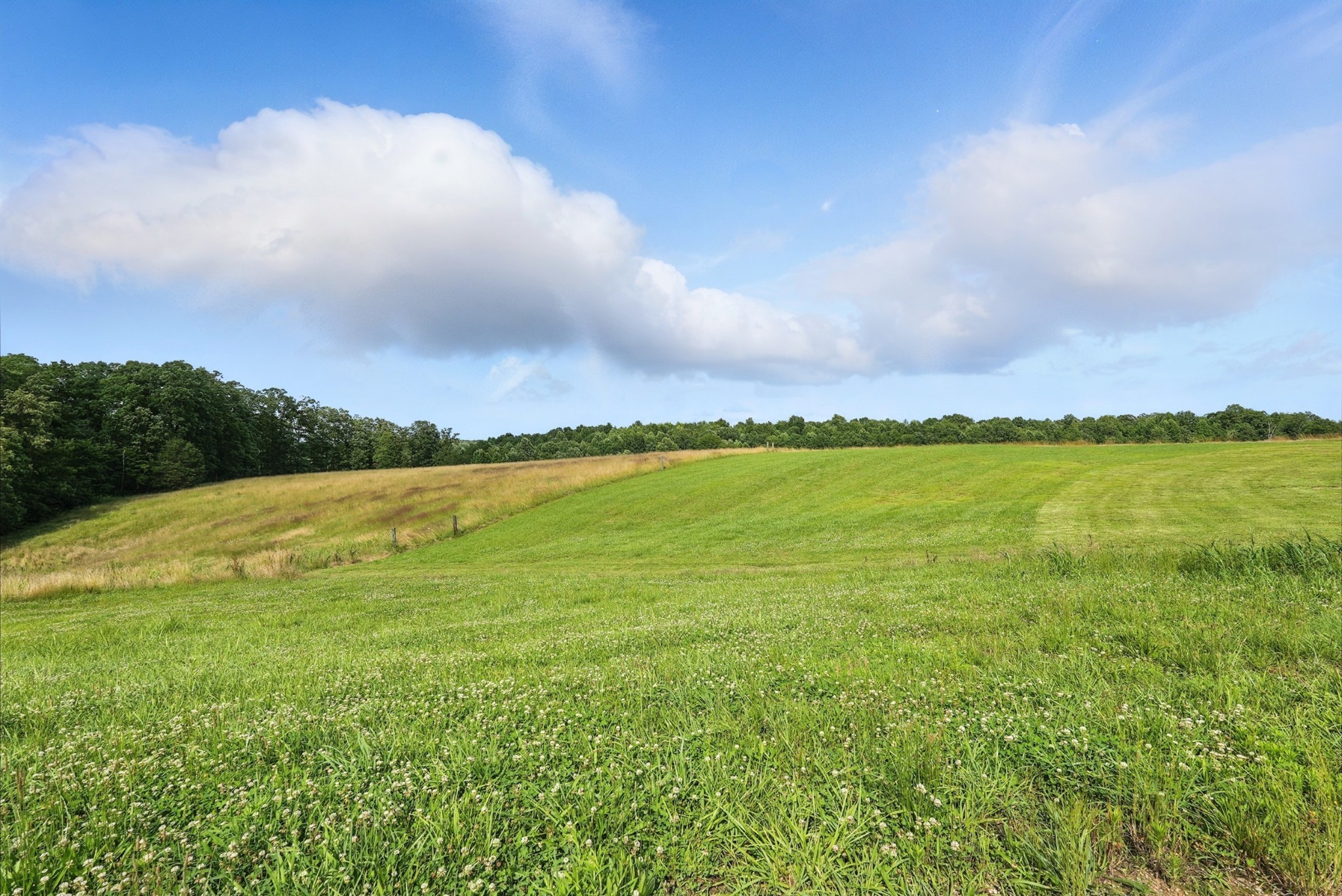 1880 Clydeton Road Waverly TN 37185