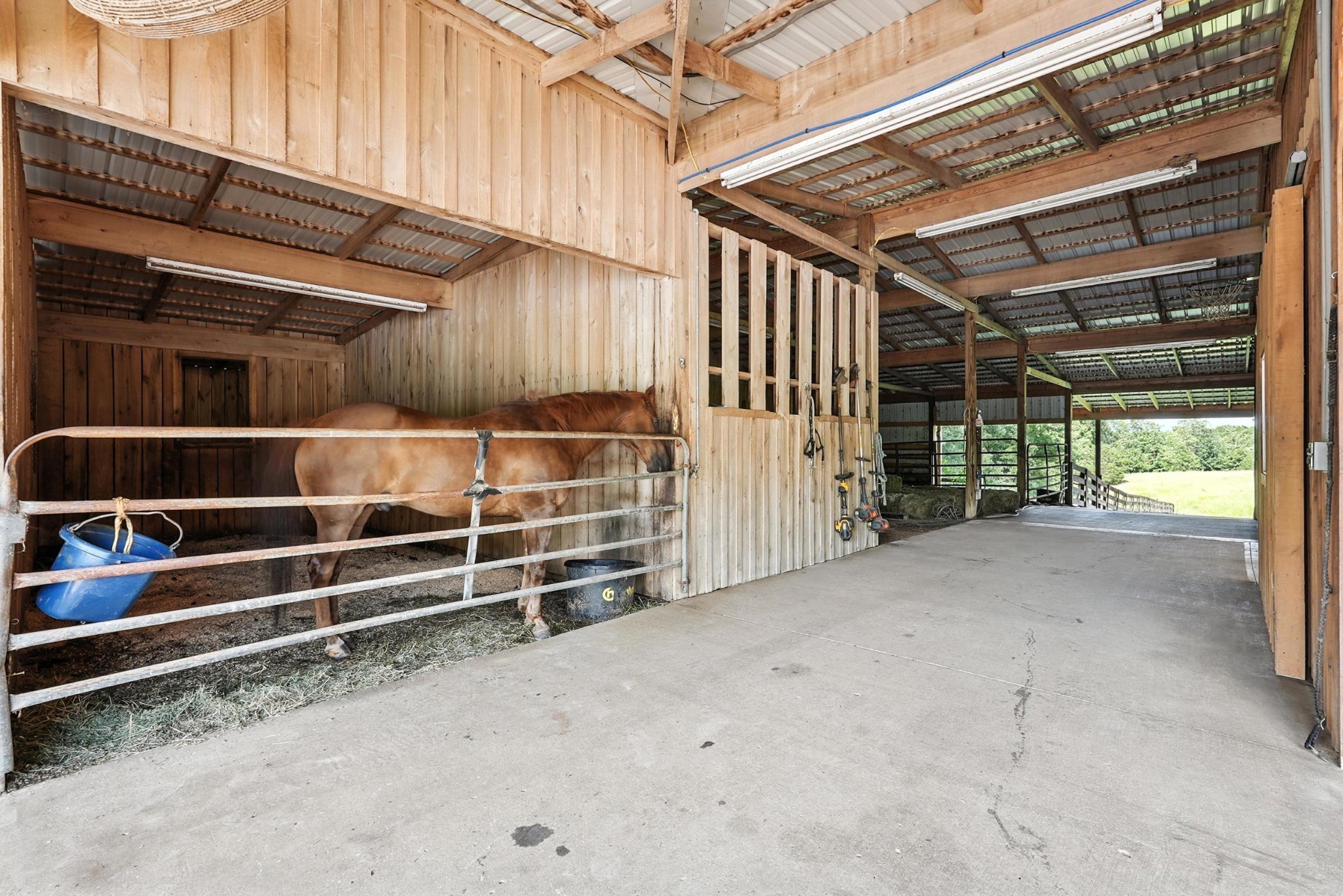1880 Clydeton Road Waverly TN 37185