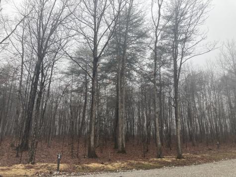 72 Woodly Branch Way Monteagle TN 37356