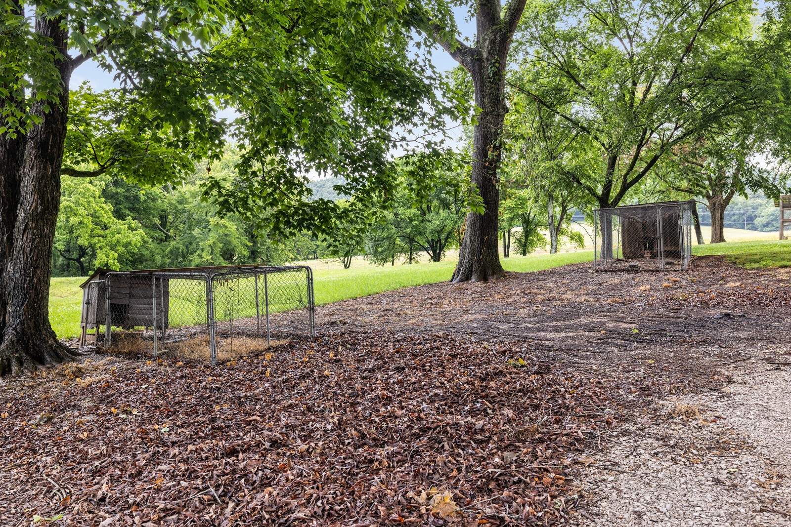 380 Webbs Camp Road Walling TN 38587