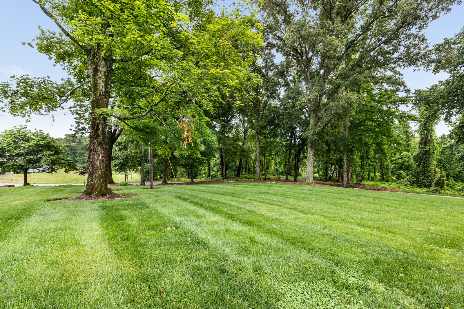 380 Webbs Camp Road Walling TN 38587