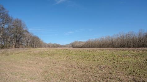 0 Tidwell Hollow Road Iron City TN 38463