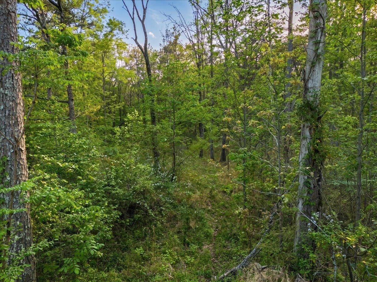 0 Sequatchie Mountain Road Sequatchie TN 37374