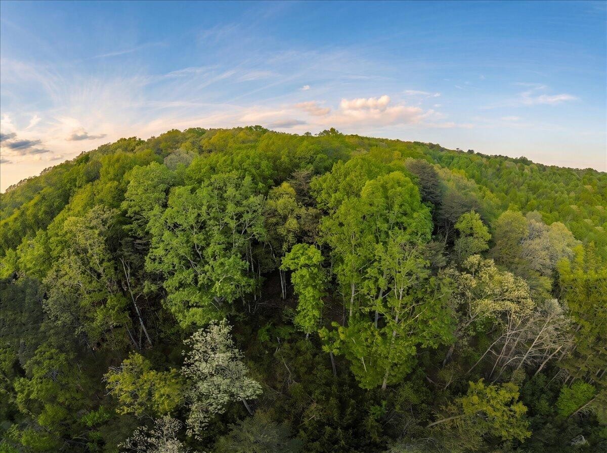 0 Sequatchie Mountain Road Sequatchie TN 37374