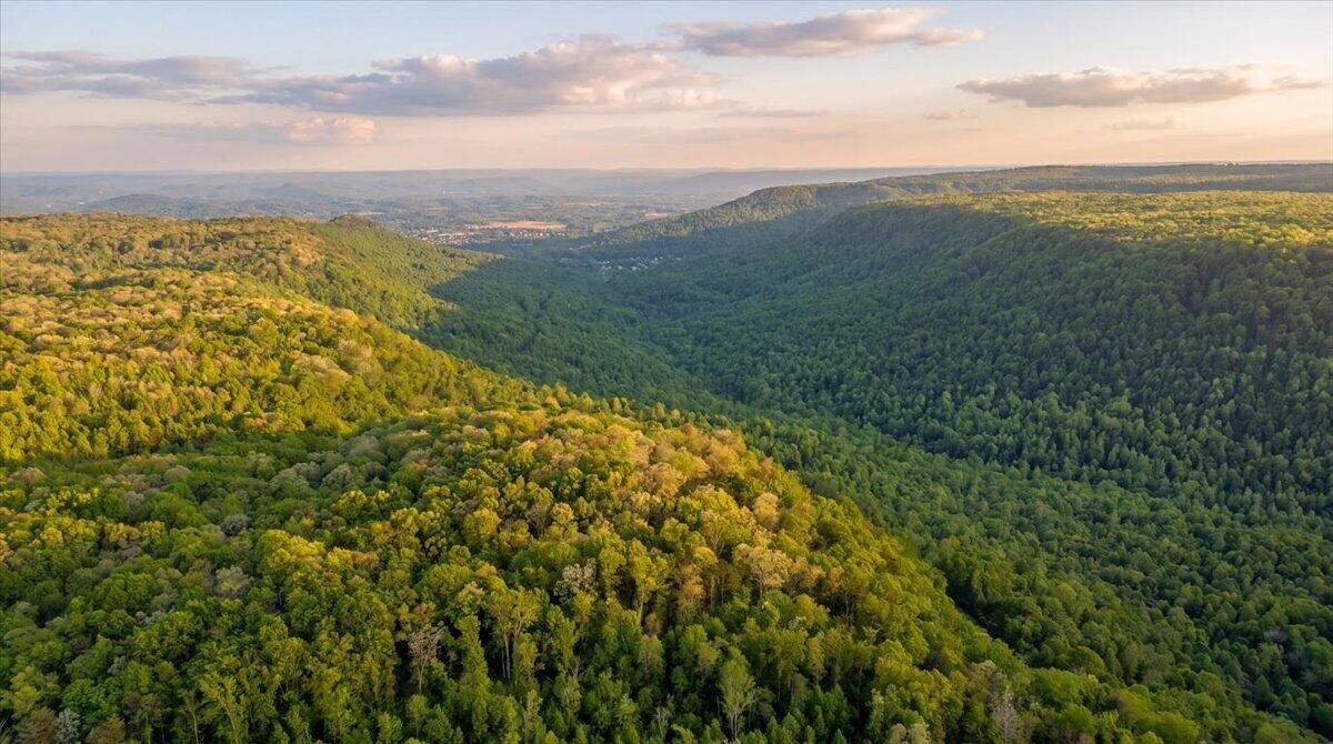 0 Sequatchie Mountain Road Sequatchie TN 37374