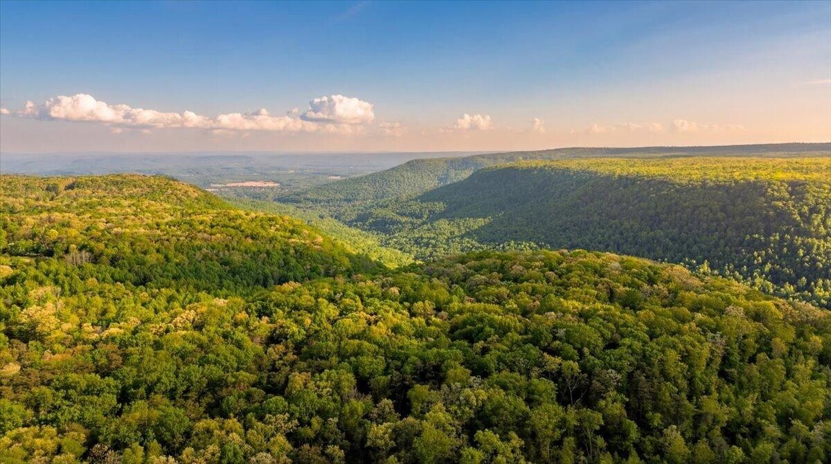 0 Sequatchie Mountain Road Sequatchie TN 37374