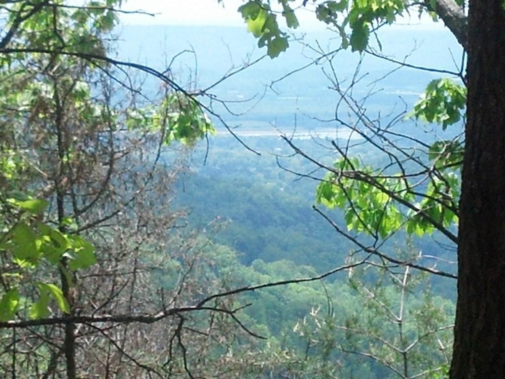 0 Sequatchie Mountain Road Sequatchie TN 37374
