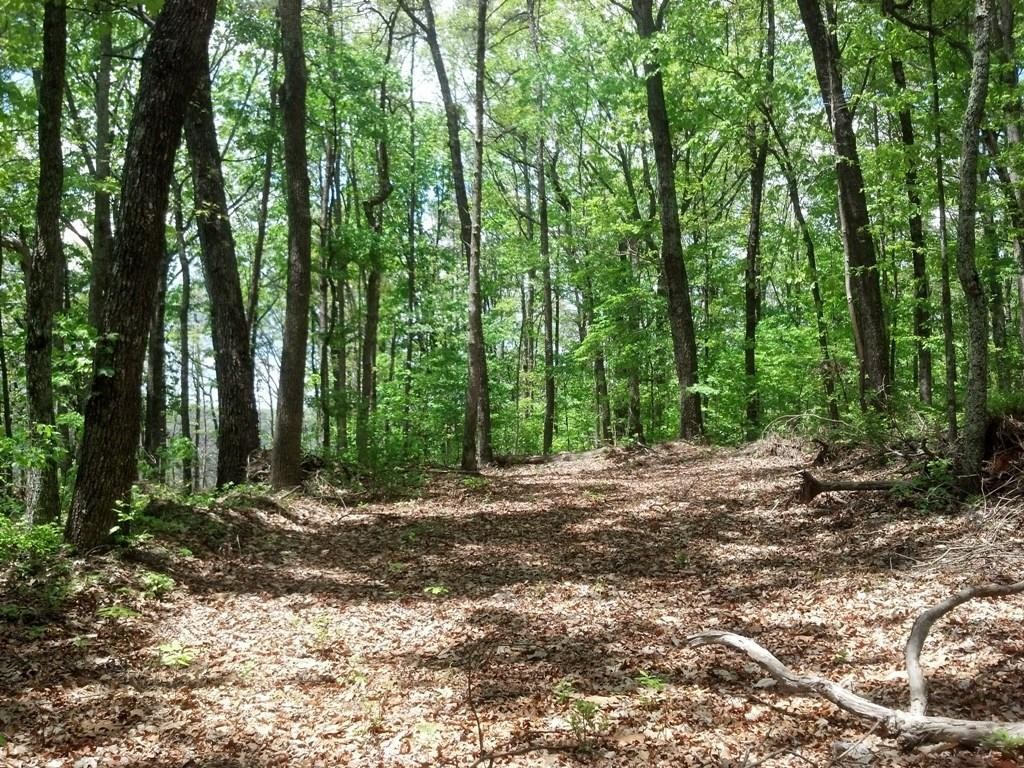 0 Sequatchie Mountain Road Sequatchie TN 37374
