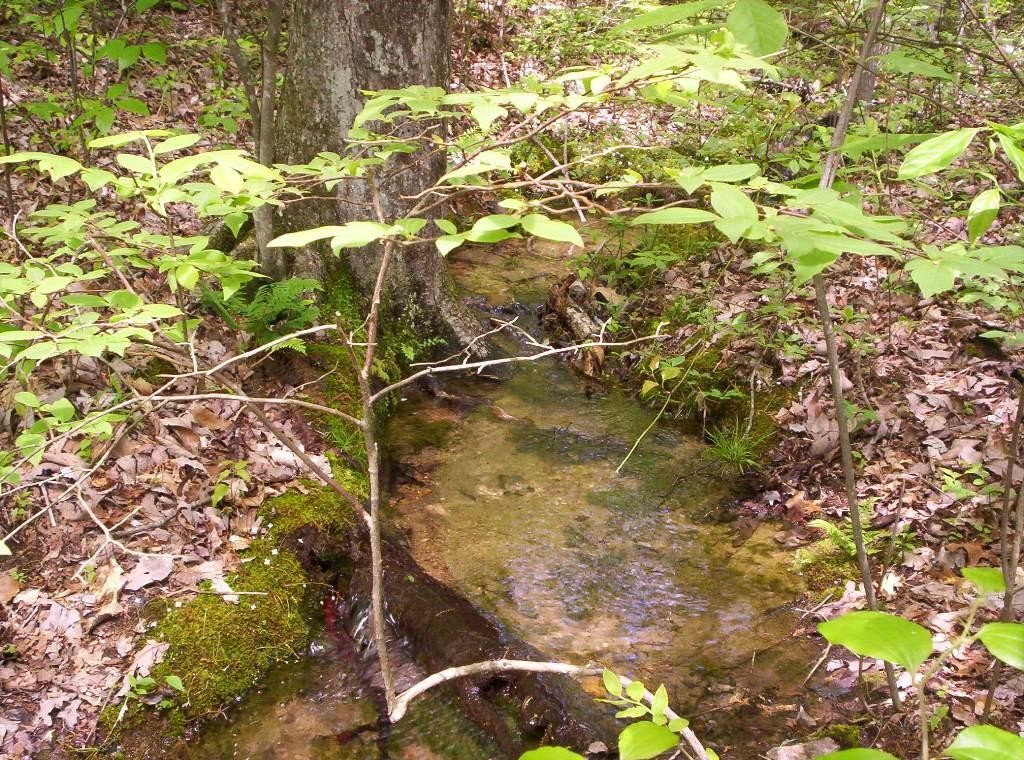 0 Sequatchie Mountain Road Sequatchie TN 37374