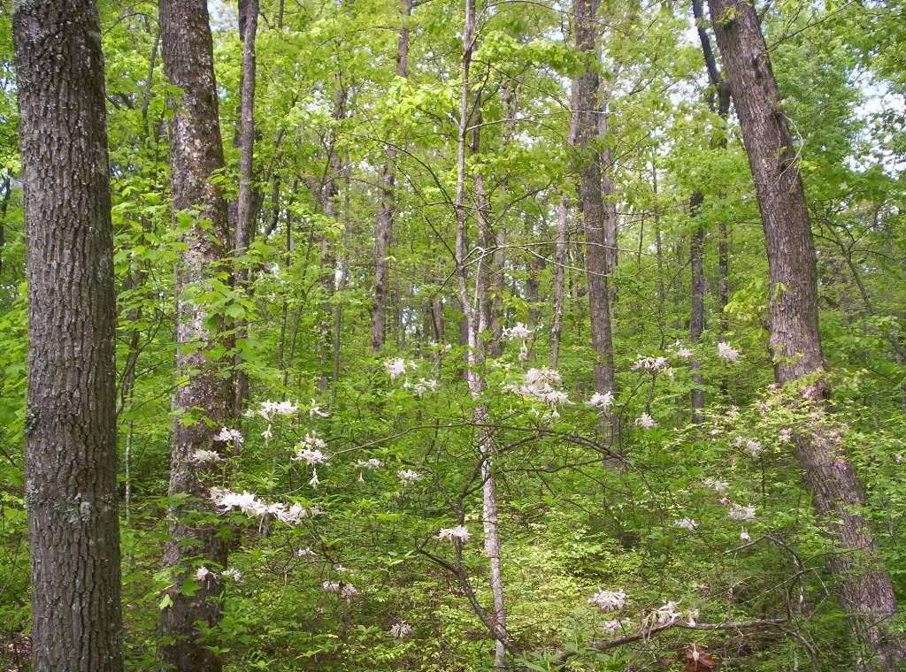 0 Sequatchie Mountain Road Sequatchie TN 37374