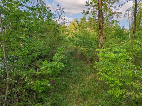 0 Sequatchie Mountain Road Sequatchie TN 37374