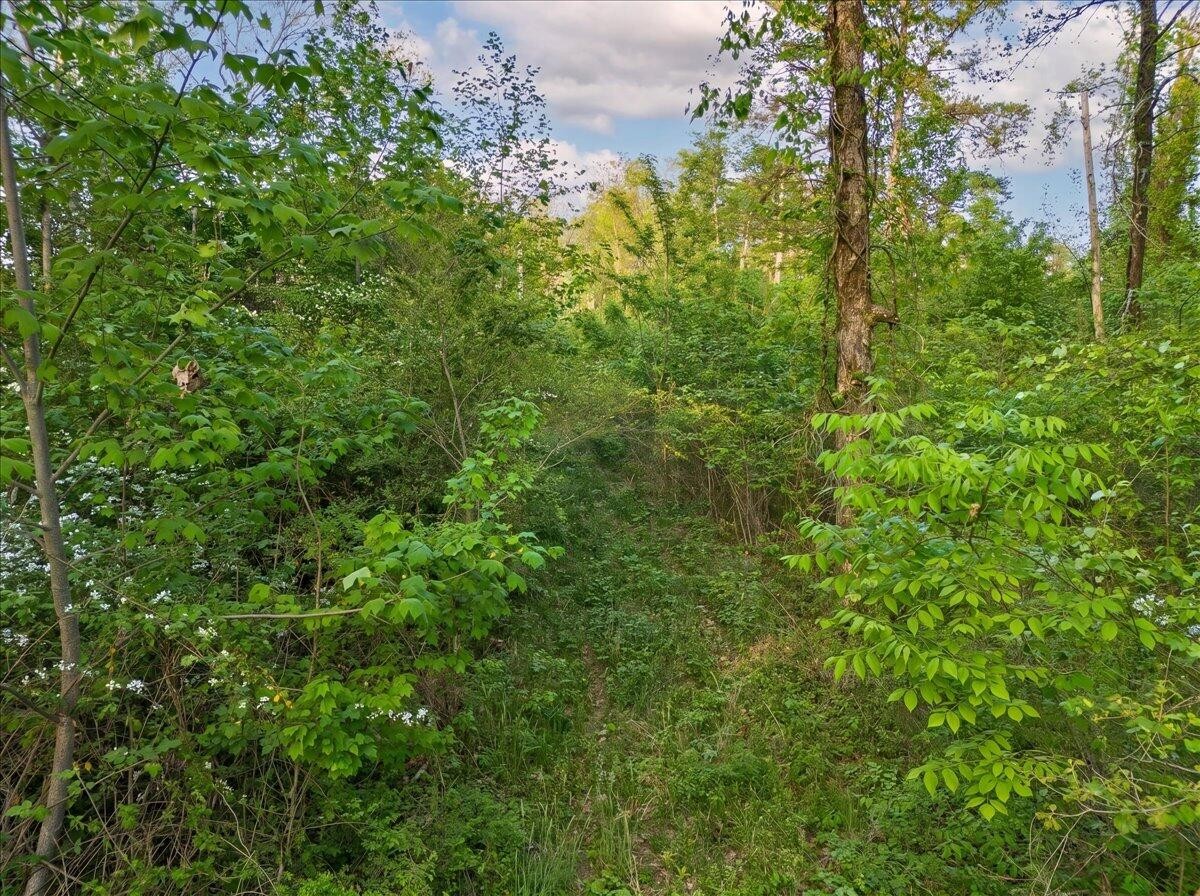 0 Sequatchie Mountain Road Sequatchie TN 37374