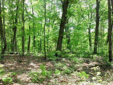 0 Sequatchie Mountain Road Sequatchie TN 37374