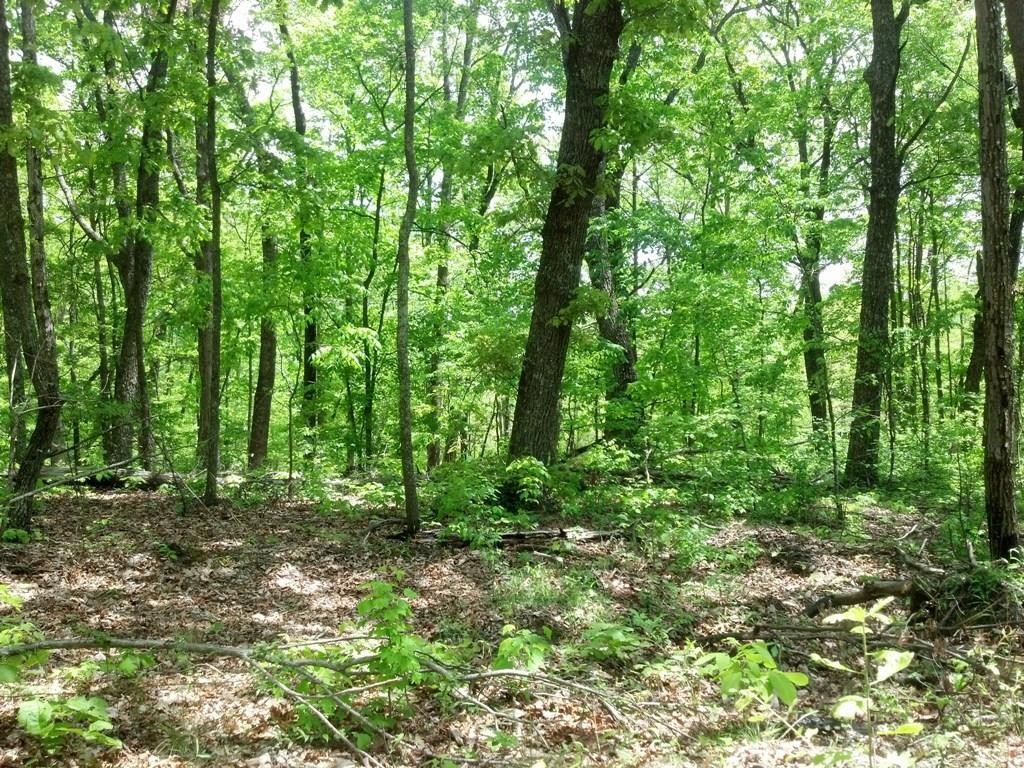 0 Sequatchie Mountain Road Sequatchie TN 37374