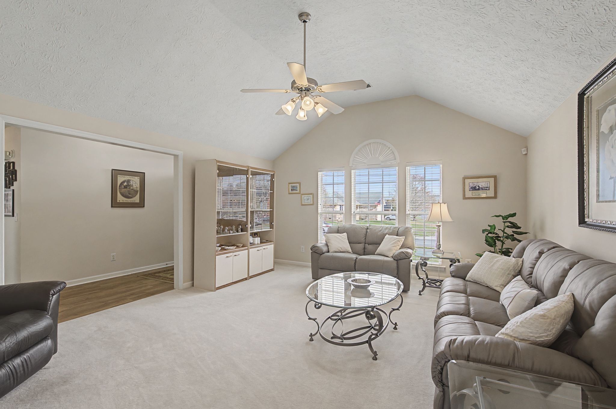 2907 Iona Drive Smyrna TN 37167