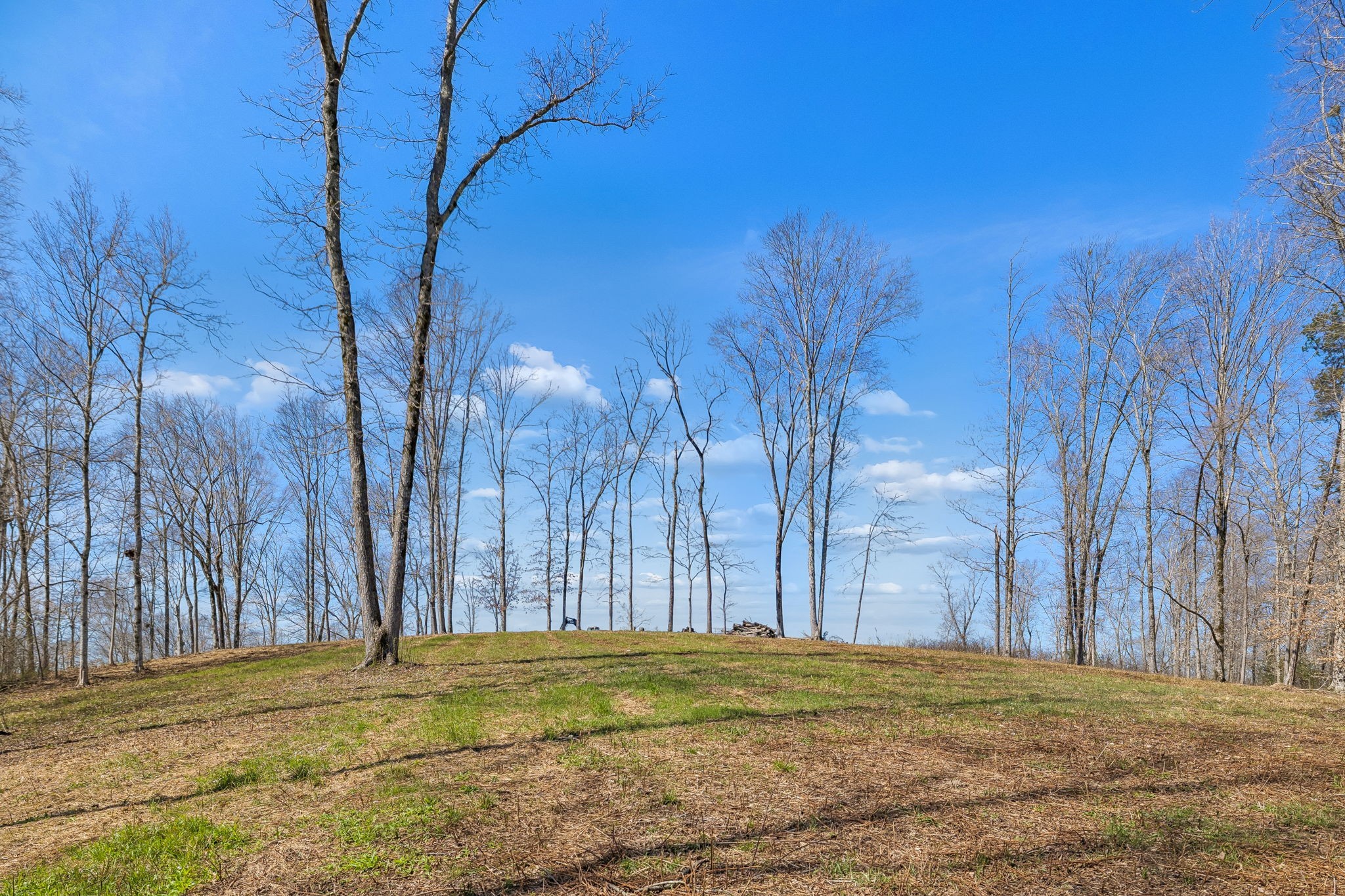 6012 Russell Ridge Lane Franklin TN 37064