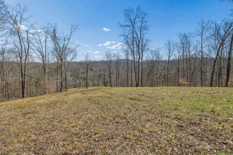 6012 Russell Ridge Lane Franklin TN 37064
