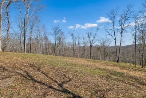 6012 Russell Ridge Lane Franklin TN 37064