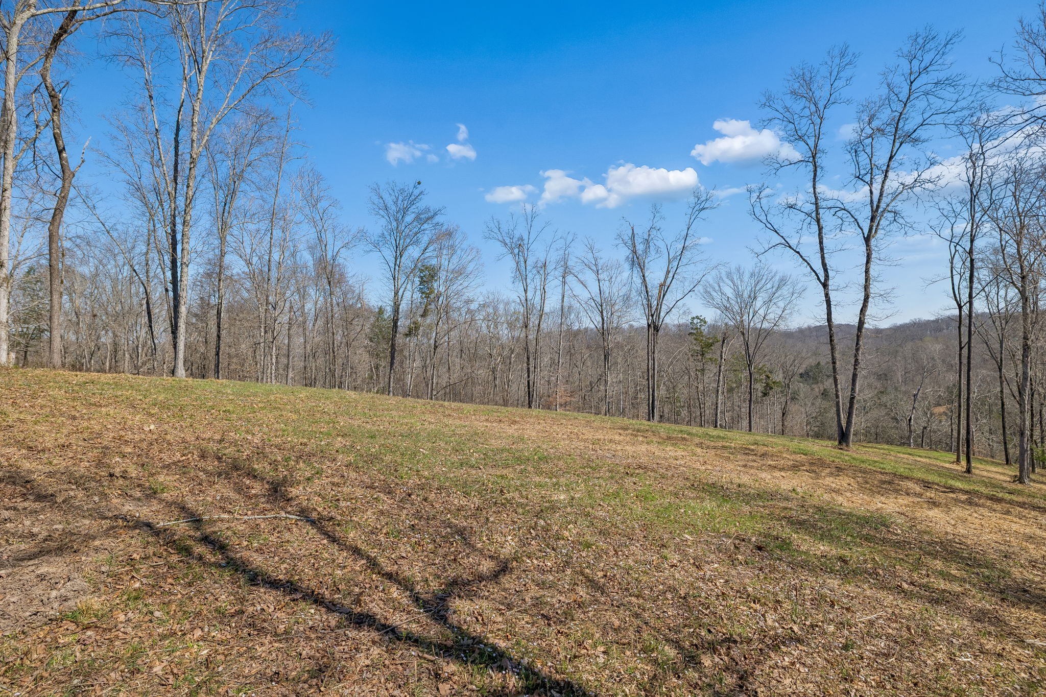 6012 Russell Ridge Lane Franklin TN 37064