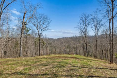 6012 Russell Ridge Lane Franklin TN 37064