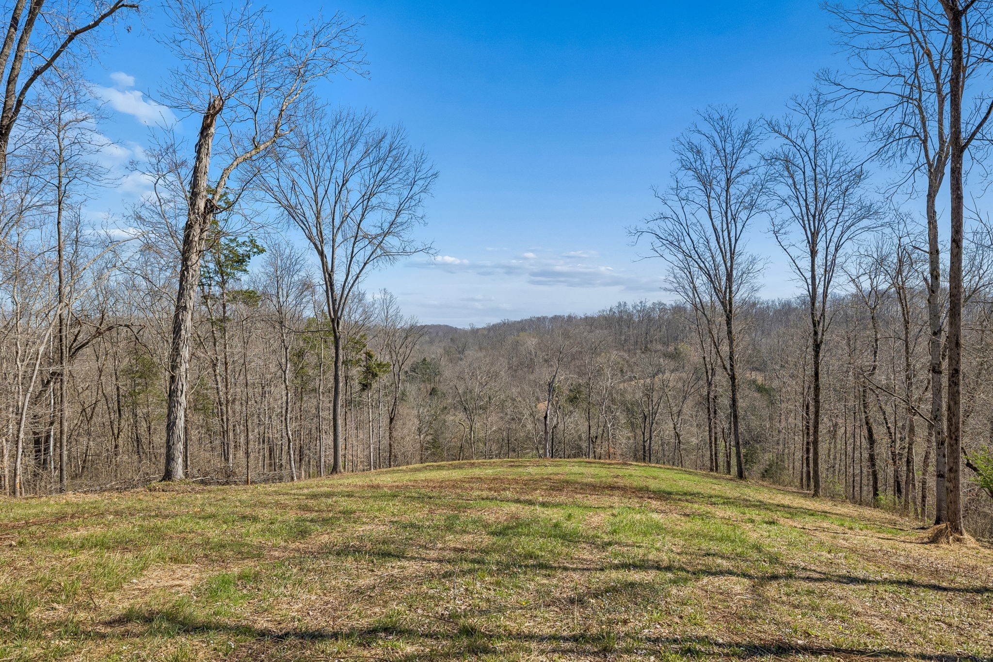 6012 Russell Ridge Lane Franklin TN 37064