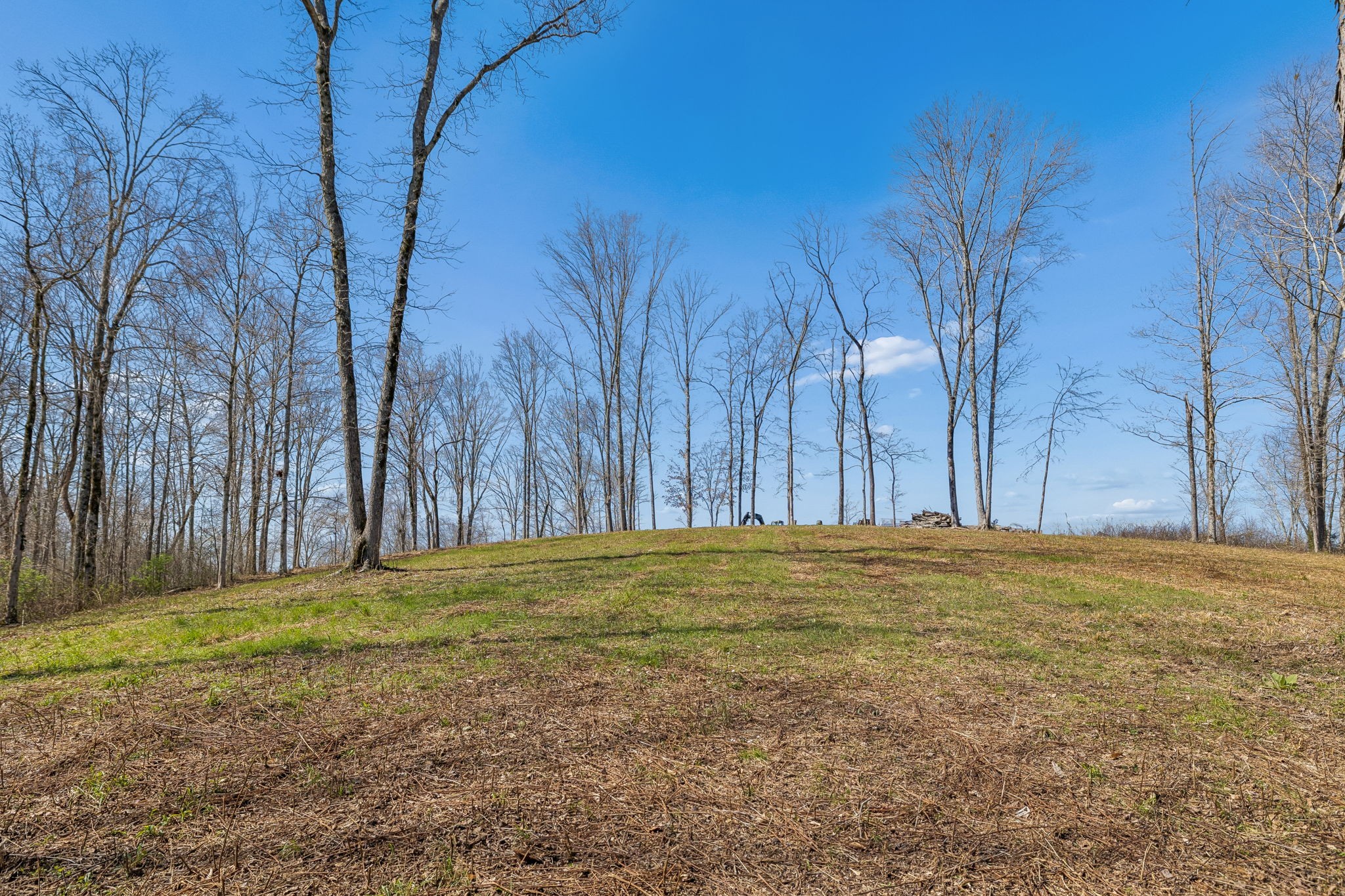 6012 Russell Ridge Lane Franklin TN 37064