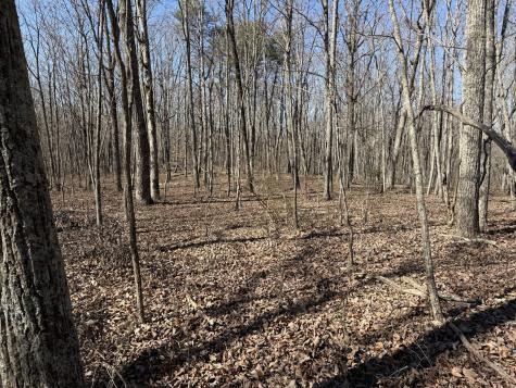 0 Timberwood Trace Monteagle TN 37356