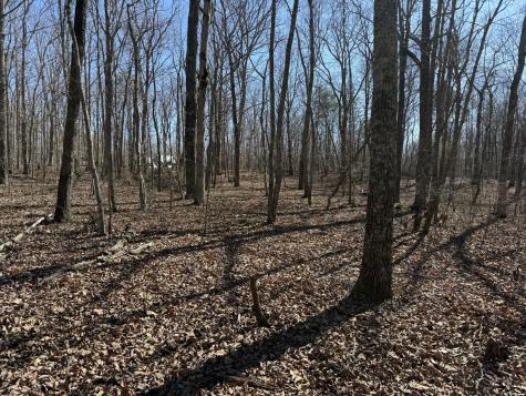 0 Timberwood Trace Monteagle TN 37356